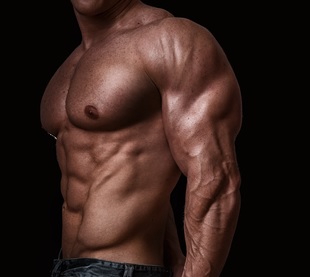 Bodybuilding Supplements